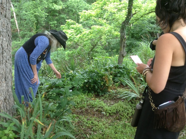 D'Coda (left) discussing Polygonatum botany at FireOmEarth class