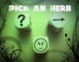 Next Herbal Series – Which Herb?